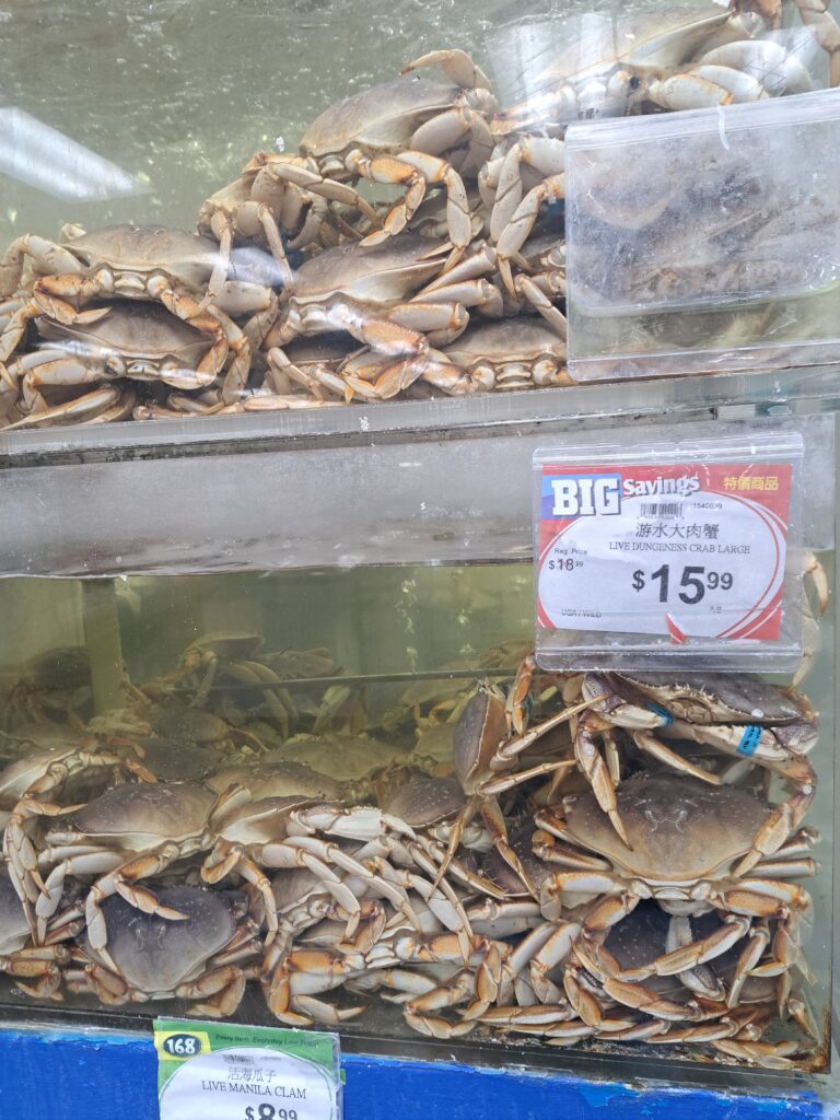 Dungeness_Crab_Chinatown